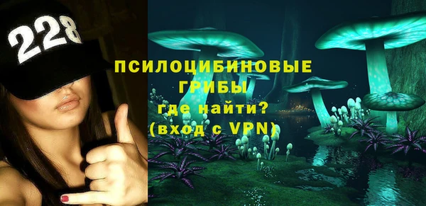 молекула духа Нефтекумск