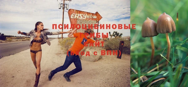 марки lsd Абаза