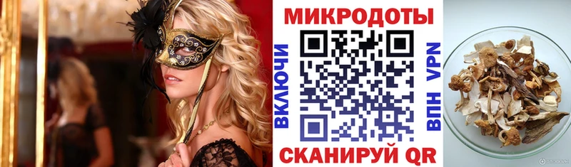 omg ТОР  что такое   Старая Русса  Галлюциногенные грибы Magic Shrooms 
